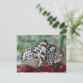 Carte Postale Monarque papillon n° 5 (Debout devant)
