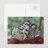 Carte Postale Monarque papillon n° 5 (Devant / Derrière)
