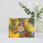 Carte Postale Monarque papillon s'arrête pour le pollen (Debout devant)
