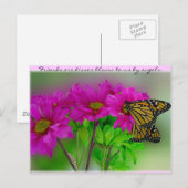 Carte postale Monarques et Daisies (Devant / Derrière)