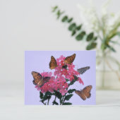 Carte Postale Monarques et Penta rose (Debout devant)