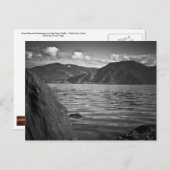 CARTE POSTALE ~ Monarques verts le long du lac Pen (Devant / Derrière)