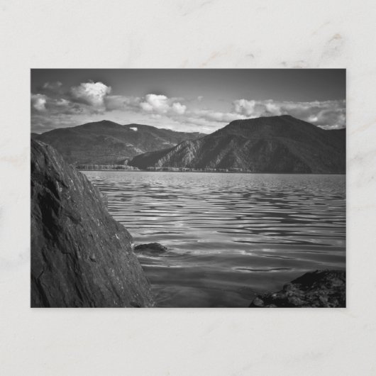 CARTE POSTALE ~ Monarques verts le long du lac Pen (Devant)