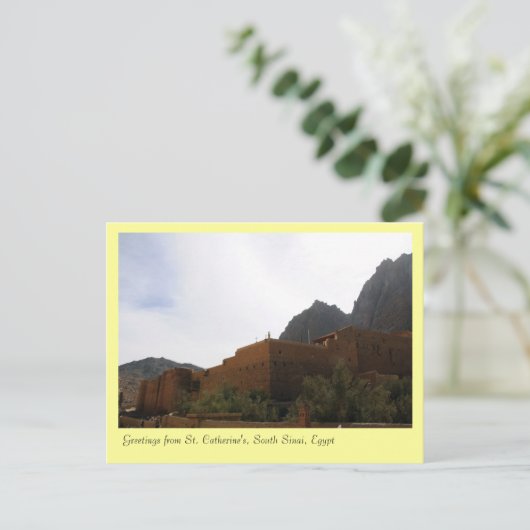 Carte Postale Monastère Sainte-Catherine, Sud Sinaï, Egypte (Debout devant)