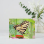 Carte Postale Monde Swallowtail (Debout devant)