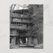 Carte Postale Mondes plus grands Treehouse (Devant)