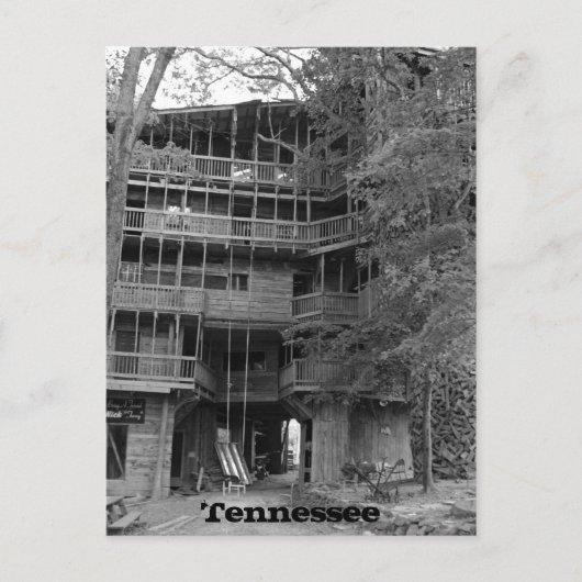 Carte Postale Mondes plus grands Treehouse (Devant)