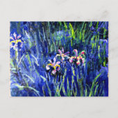 Carte Postale Monet - Irises (Devant)