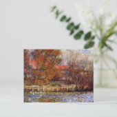 Carte Postale Monet - L'étang de canard, peinture d'art (Debout devant)