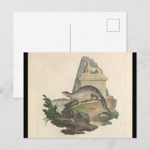 Carte postale Mongoose et Egyptian Sphinx