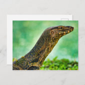 Carte Postale Moniteur Lizard (Devant / Derrière)