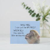 Carte Postale Monkee autour de la salutation (Debout devant)