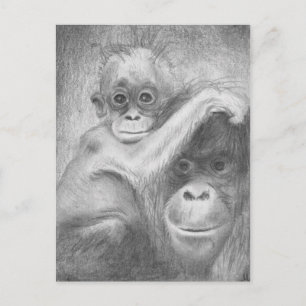 Carte Postale Monkey