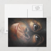 Carte postale Monkey (Devant / Derrière)