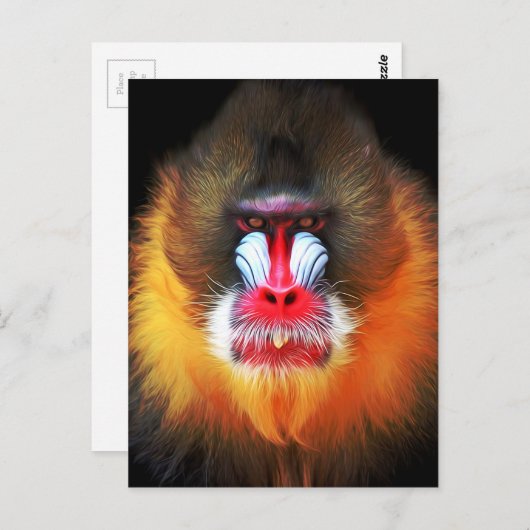 Carte Postale monkey (Devant / Derrière)