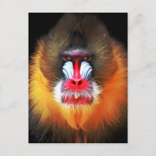 Carte Postale monkey