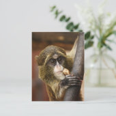 Carte Postale Monkey (Debout devant)