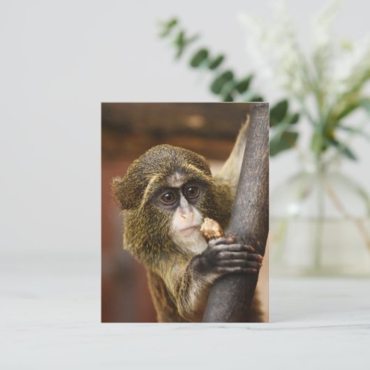 Carte Postale Monkey (Debout devant)