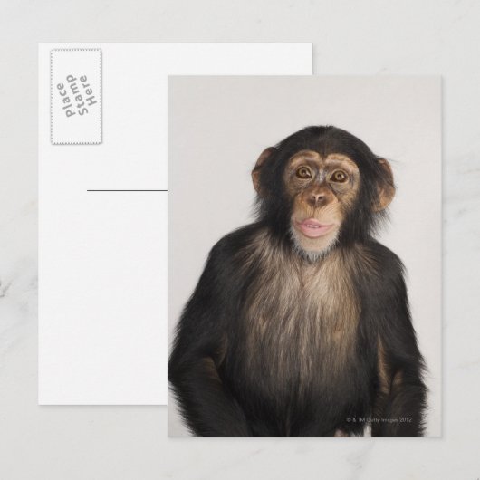 Carte Postale Monkey (Devant / Derrière)