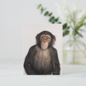 Carte Postale Monkey (Debout devant)