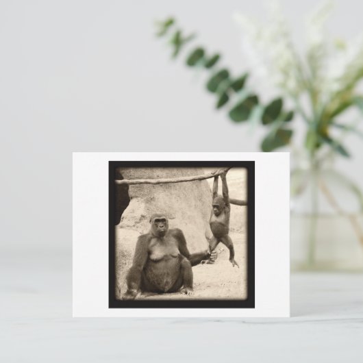 Carte Postale Monkey Business (Debout devant)