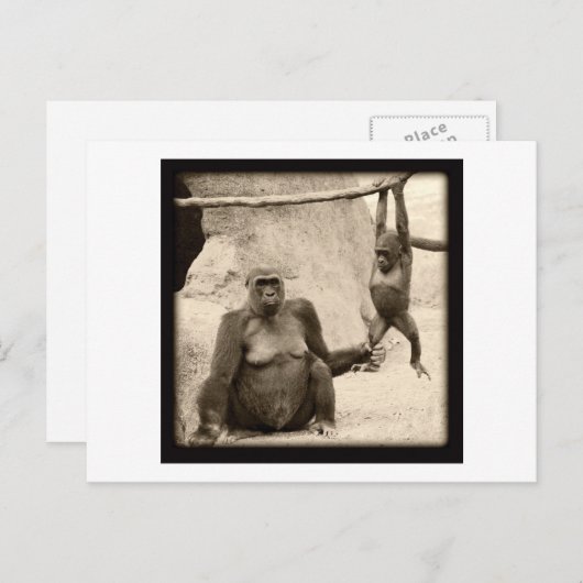Carte Postale Monkey Business (Devant / Derrière)