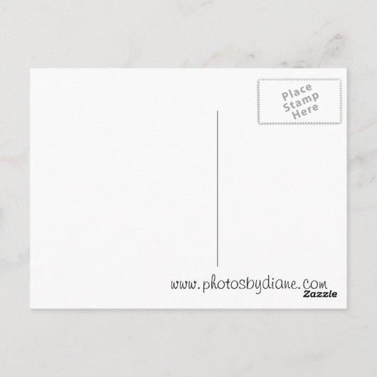 Carte Postale Monkey Business (Dos)