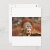 Carte Postale Monkey business 2 (Devant / Derrière)