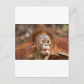 Carte Postale Monkey business 2 (Devant)