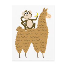 Monkey cool à cheval sur une Llama