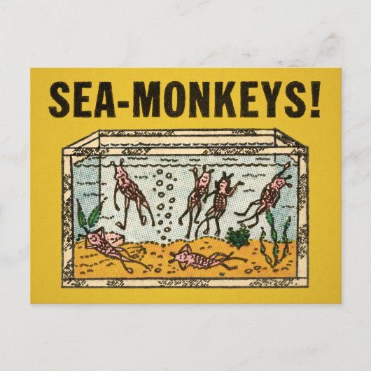 Carte postale Monkey de mer vintage (Devant)