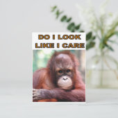 CARTE POSTALE MONKEY FUN (Debout devant)