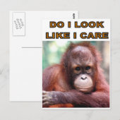 CARTE POSTALE MONKEY FUN (Devant / Derrière)