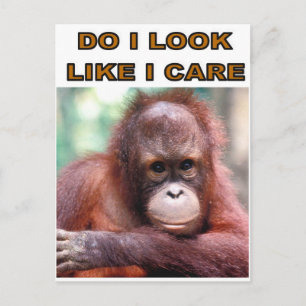 CARTE POSTALE MONKEY FUN