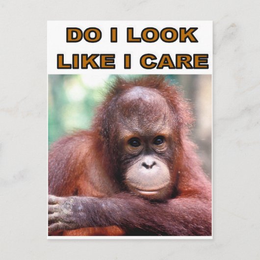 CARTE POSTALE MONKEY FUN (Devant)