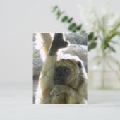 Carte Postale Monkey Greeter (Debout devant)