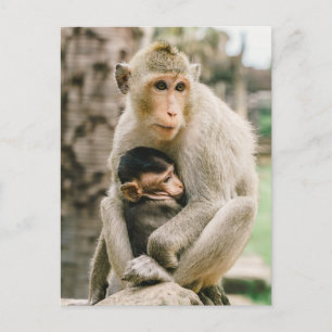 Carte Postale Monkey Mama & Baby