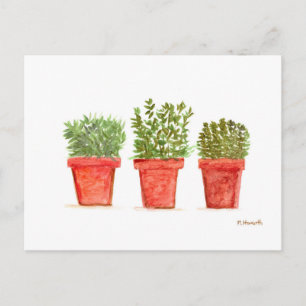 Carte Postale Monnaie romarin de thym d'herbes
