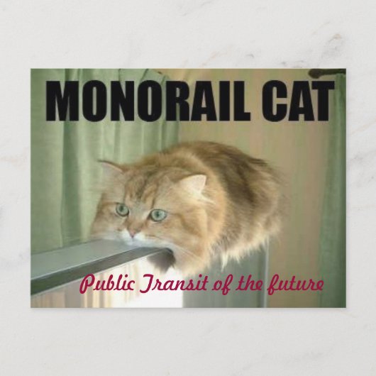 carte postale monorailcat (Devant)
