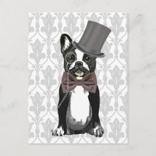 Carte Postale Monsieur Bulldog