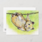 Carte Postale Monsieur Ham (Devant / Derrière)