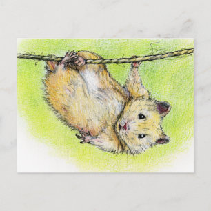 Carte Postale Monsieur Ham