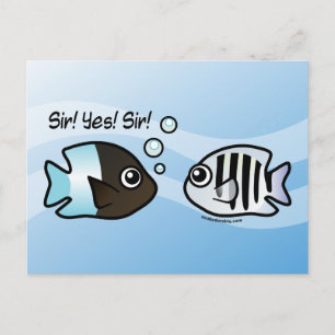 Carte Postale Monsieur ! Oui! Monsieur !