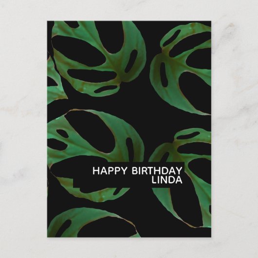 Carte Postale Monstera Plante Motif Illustration Feuille Anniver (Devant)