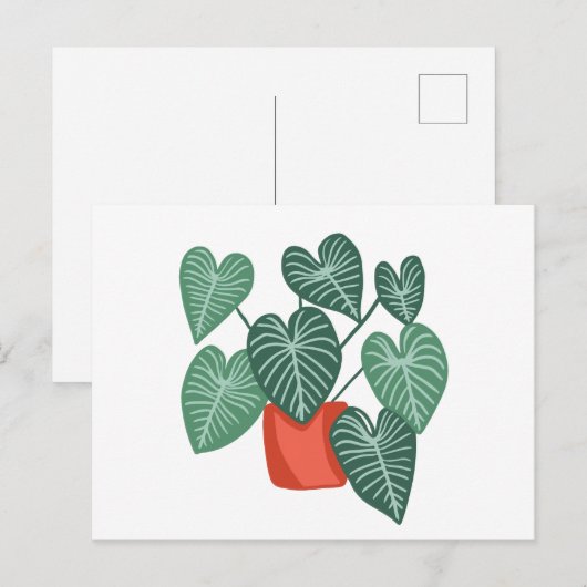 Carte Postale Monstère variable (Devant / Derrière)