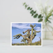 Carte Postale Monstre du Saguaro (Debout devant)