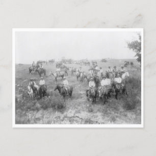 Carte Postale Mont des vaches