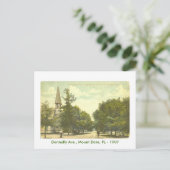 Carte Postale Mont Dora, FL - 1907 (Debout devant)