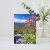 Carte Postale Mont Greylock Round Rock Vista (Debout devant)