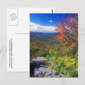 Carte Postale Mont Greylock Round Rock Vista (Devant / Derrière)